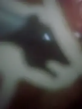 j_hollywood91 Image 16