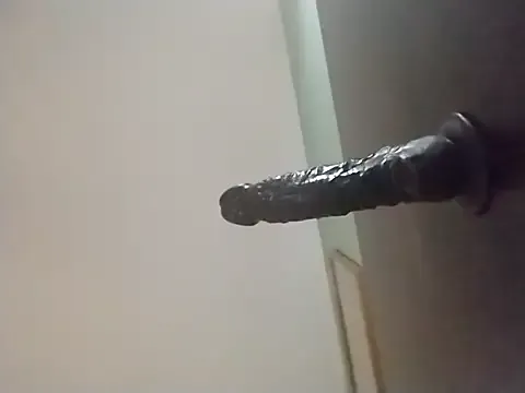 j_hollywood91 Image 19