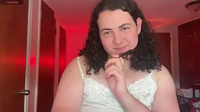 RaspberryTommyFTM Image 17